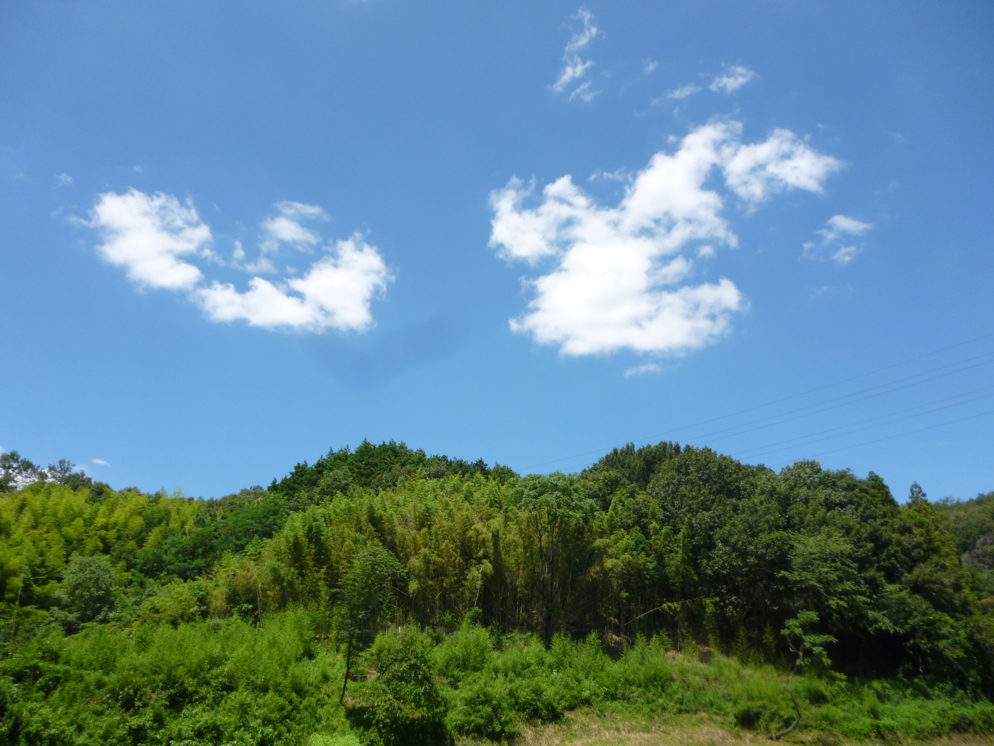 しおしおのパー おやじカウンセラーの夢ゆめ日記